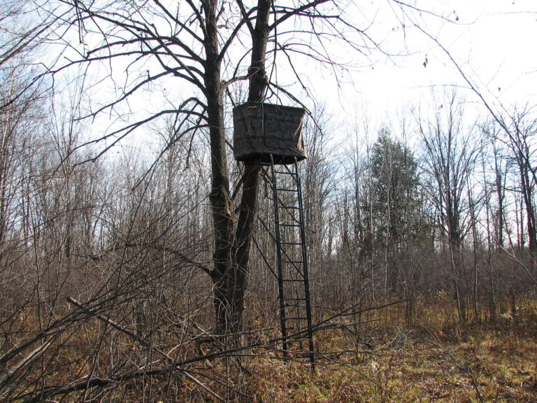 Tree Stand Hunting